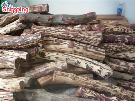 Gỗ Sưa