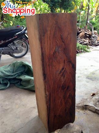 Trắc bách diệp