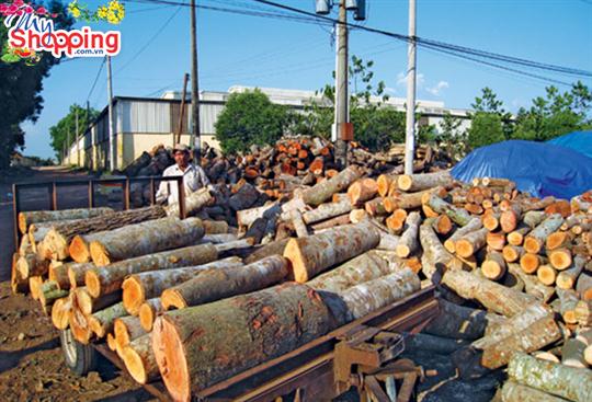 NGÀNH GỖ VIỆT NAM: CẦN XÂY DỰNG NHỮNG BƯỚC ĐI PHÙ HỢP