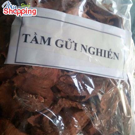 Tầm gửi nghiến ngâm rượu