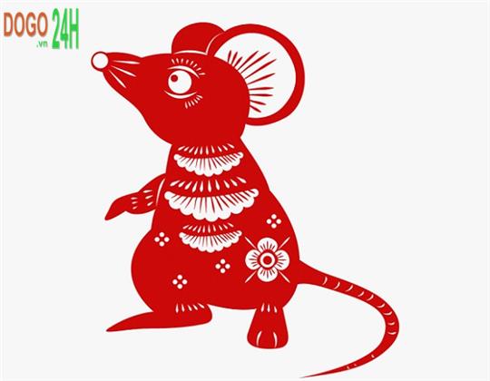 Người Tuổi Tý Là Tuổi Con Gì, Thuộc Mệnh Gì?