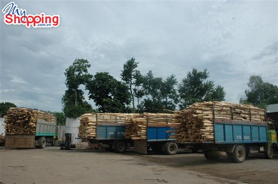 Phải có giấy chứng nhận đủ điều kiện kinh doanh chế biến gỗ mới được phép hoạt động kinh doanh chế biến gỗ