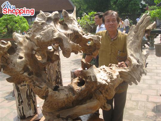 Thiên nhiên kỳ thú trong gỗ lũa